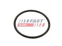 Fast Dichtung, AnsaugkrüMmer FT49460 FüR Dacia Renault