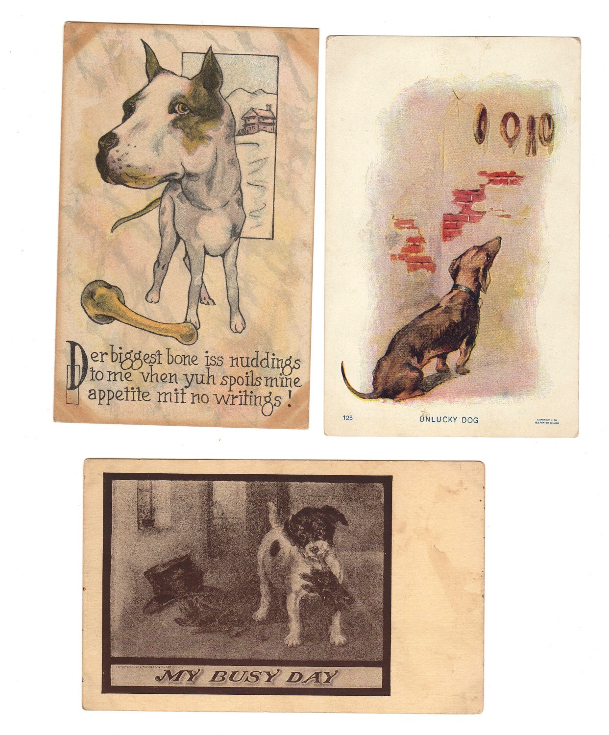 3 POSTCARD Novelty Comic Dog Oversize Head Dachshund Fox Terrier Vintage