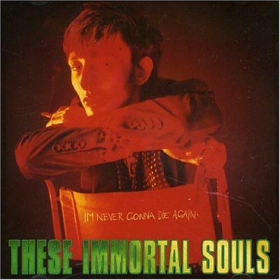 These Immortal Souls I'm Never Gonna Die Again (CD) Album