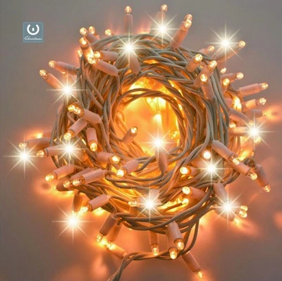 WISDOM Catena Luci Di Natale 10 metri 100 MaxiLed Professionale Luce Calda Più Fredda