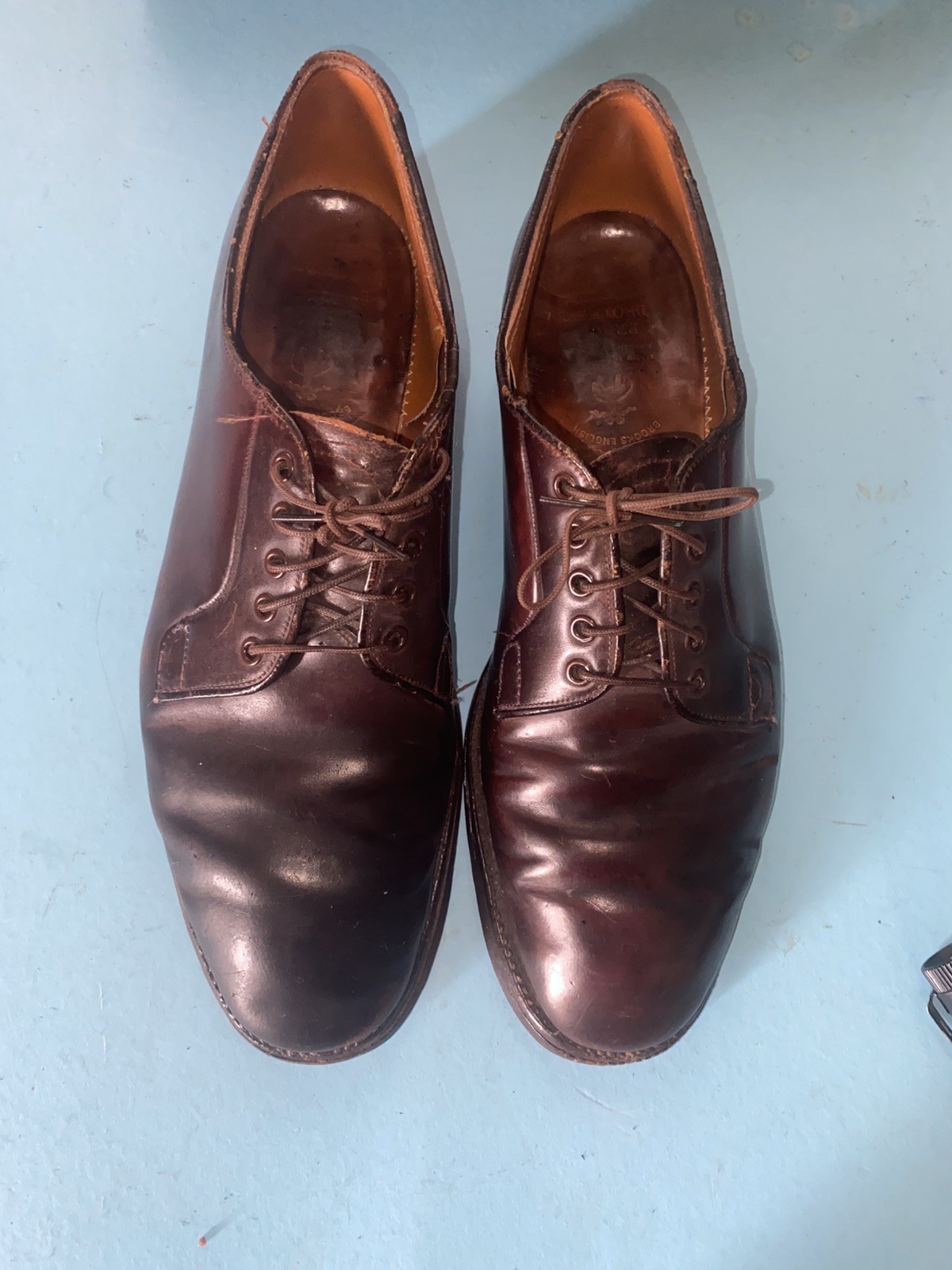 Alden A765 Color 8 Shell Cordovan Plain Toe Blucher