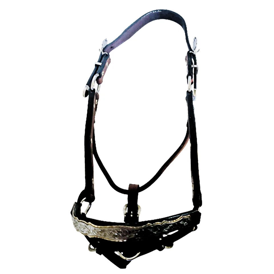 Halter Dale Chávez Plata y Joyeros Bronce Espectáculo Tamaño Completo Caballo Foto 3 de 4