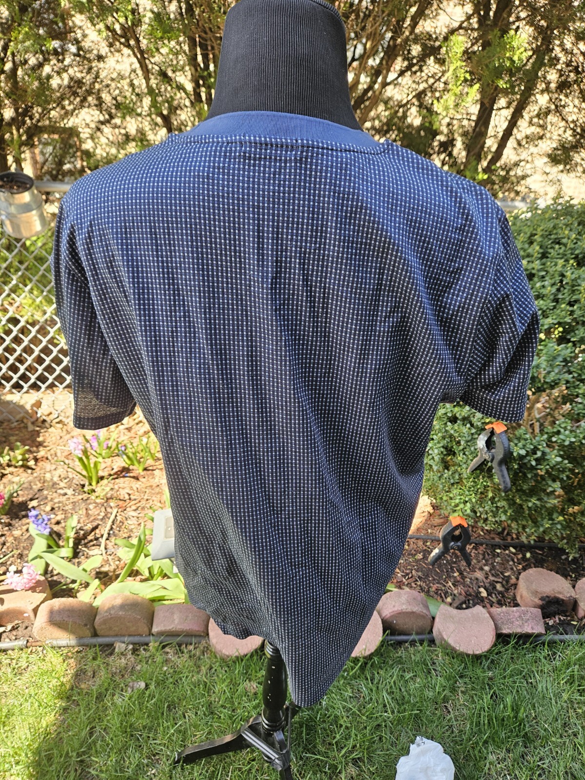 Foto 6 di 12