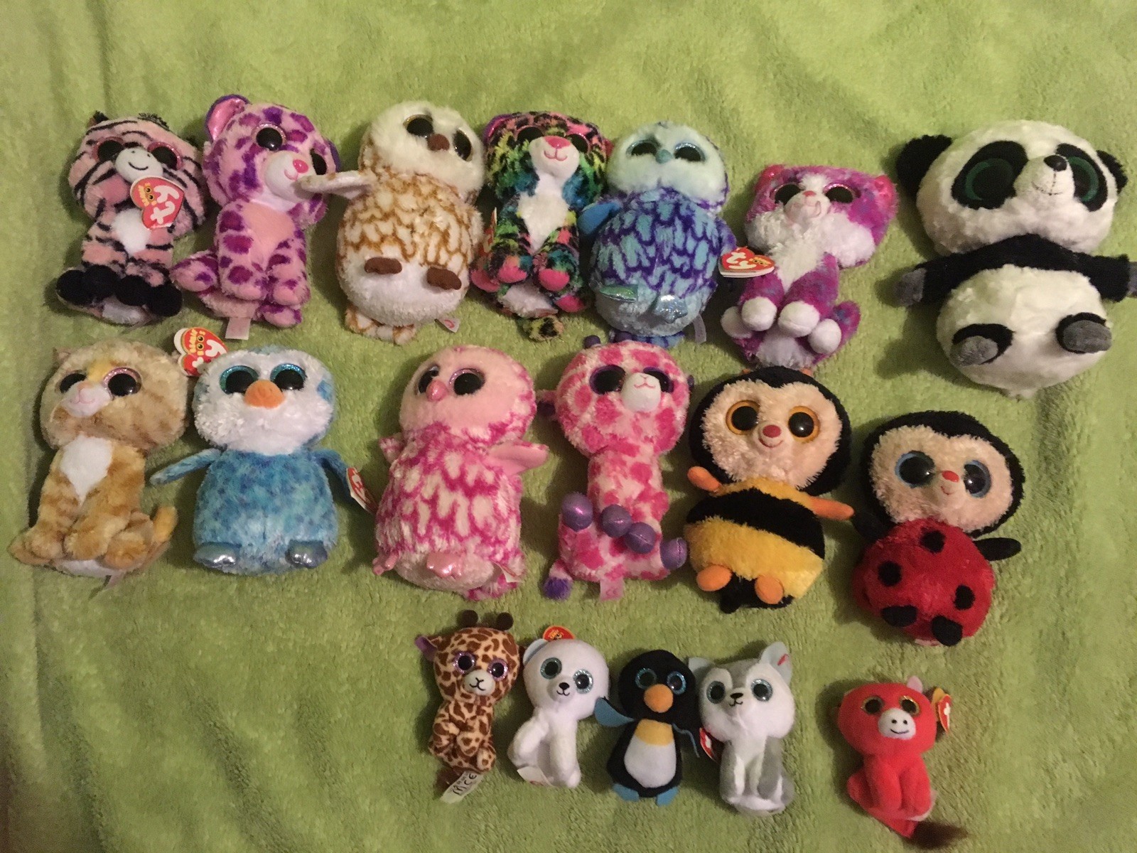 Ty Beanie Boo Soft Plush Toy Bundle Ty Beanie Boo Soft Plush Toy Bundle