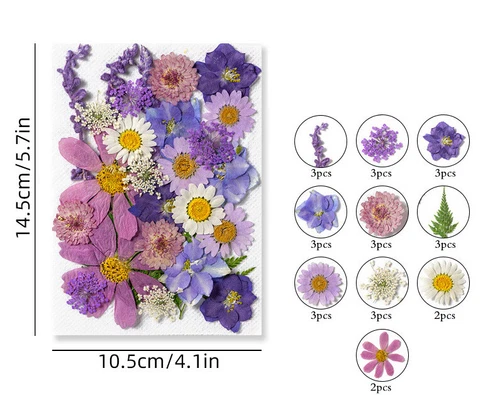 Dried Pressed Flowers Natural Epoxy Resin Candle Nail Art Scrapbooking Craft AU - Picture 51 of 210