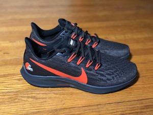 pegasus 36 nfl