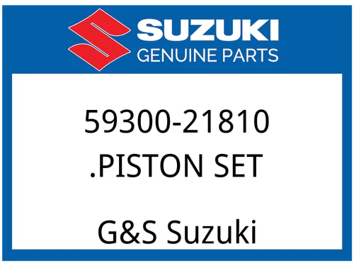 .PISTON SET