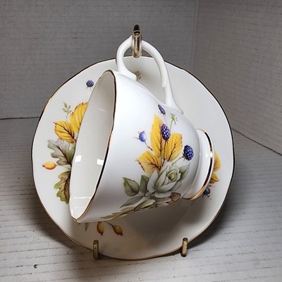 Vintage Duchess Autumn #410 Tea Cup & Saucer Made In England Excellent Condition