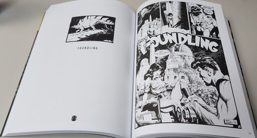 XENOZOIC  (Flesk 2021 TP SC TPB GN ~ Cadillacs Dinosaurs Complete Tales) - Bild 3 von 3