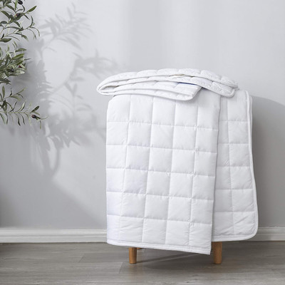 Queen Size Mattress Pad Protector Topper - Microfiber Breathable Cover with Elas