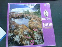 Big Ben-milton Bradley Unexpected Beauty Ak Puzzle Sealed Big Ben-milton Bradley Unexpected Beauty Ak Puzzle Sealed