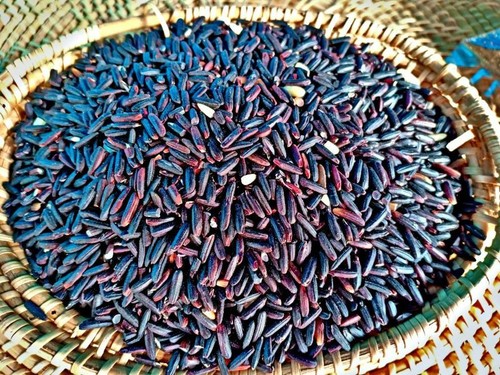 1 kg RICEBERRY biologico tailandese 100% alta fibra calcio collagene riduzione grasso - Foto 3 di 12