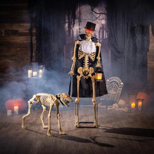 2 pc Animated Gentleman Skeleton with Growling Dog Halloween Decorations, 5-Ft