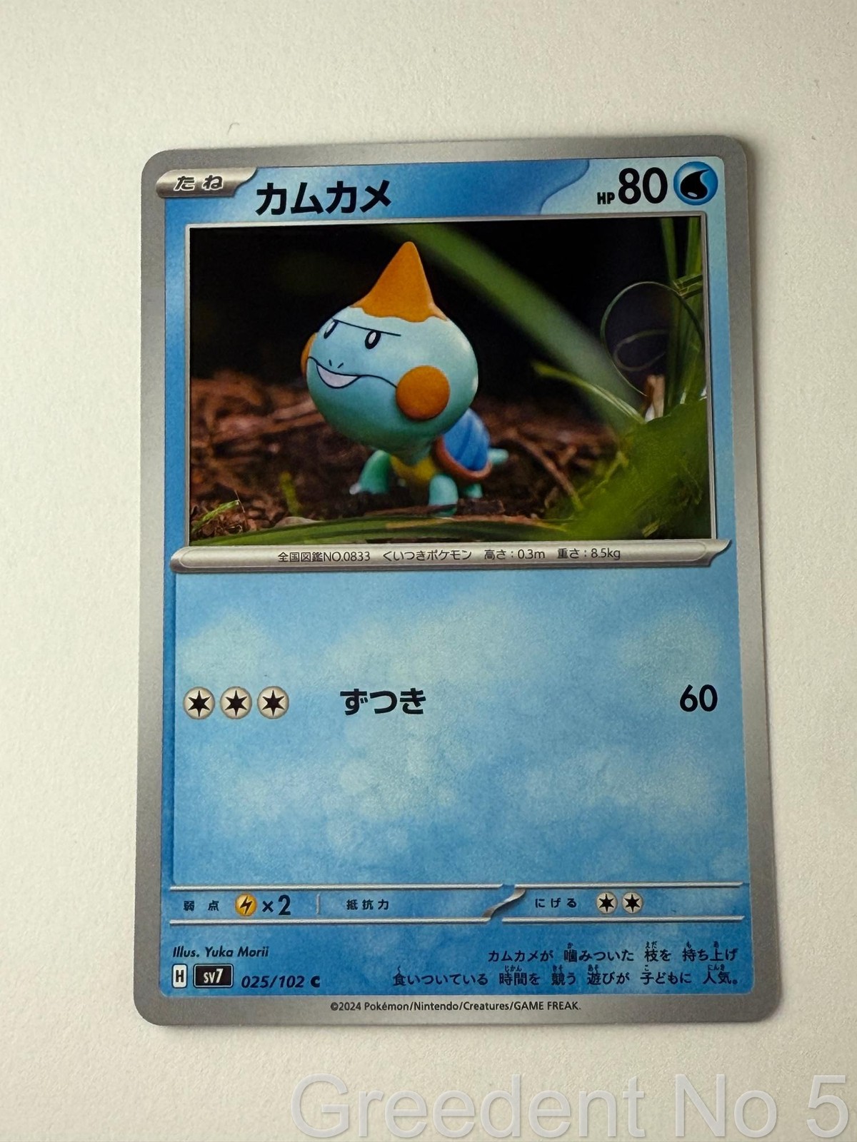 Chewtle 025/102 Common Stellar Miracle Pokemon Japanese Near Mint