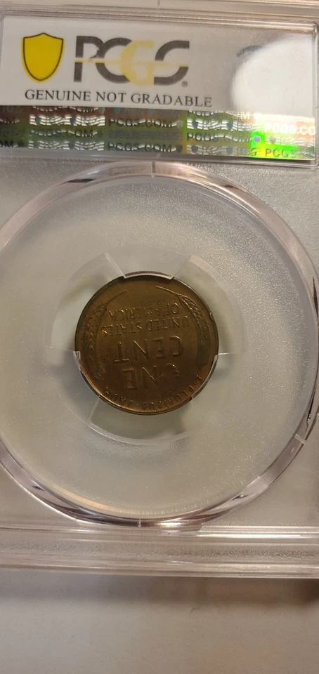 1958 wheat penny Doubled Struck Rotated In Collar PCGS Doubled Date,  Double  - Image 2 of 4