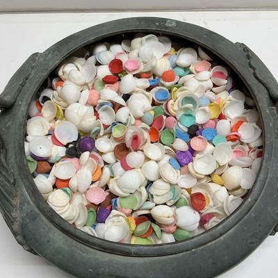 Lucine Clam  Shells- 3 LBS Perfect for Crafts-Natural White and  Dyed Colors 