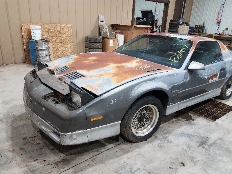 Muelle helicoidal trasero Pontiac Firebird 1982-02 Foto 4 de 4