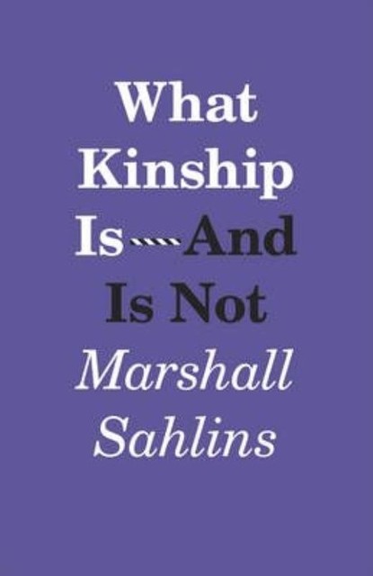 What Kinship Is-And Is Not by Marshall Sahlins (PB 2014) - Image 2
