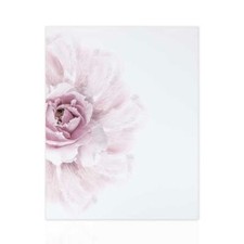Quadro Moderno Fiore Rosa Stampa su Tela Arte Arredo Parete Quadro Declea