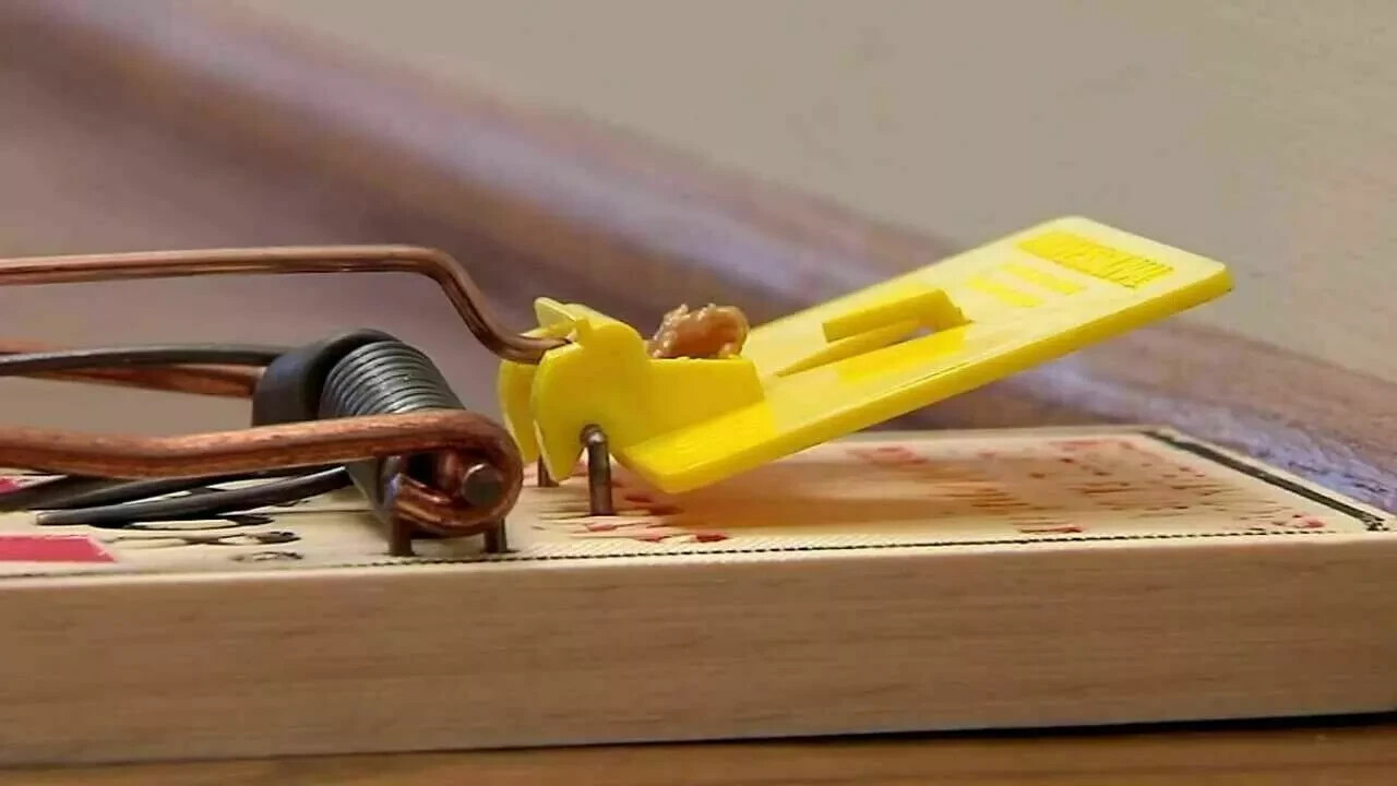 2 x Wooden Mouse Traps snap trap -  Mice Mouse Rodent Control Pest Control