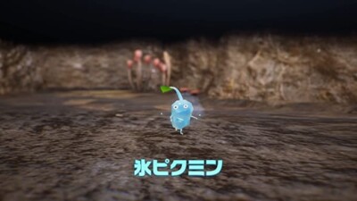 Pikmin 4 & 1+2 セット Pikmin 4 + Pikmin 1 + 2 - Nintendo Switch - Walmart.com