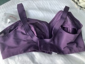 Triumph Doreen Bra Unwired Non Padded Full Cup Firm Lingerie Purple 46DD BNWT