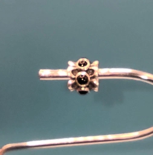 Pandora Forget Me Not Negro Ónix Dije Retirado Foto 2 de 4