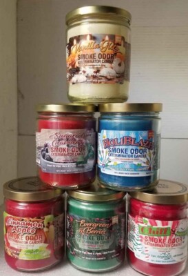Smoke Odor 13 oz Jar Holidays & Christmas Candles Vanilla Glitz + 5 more