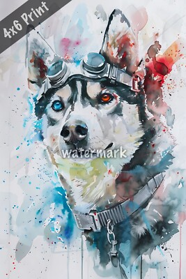 #ad Dog Siberian Husky in futuristic attire watercolor Art 4x6 Print $8.40
