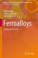 Ferroalloys | Theory And Practice | Mikhail Gasik (U. A.) | Taschenbuch | Xx