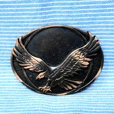 Western Flying Eagle Belt Buckle Sun Design Cowboy Sportsman Nature   .TYC508