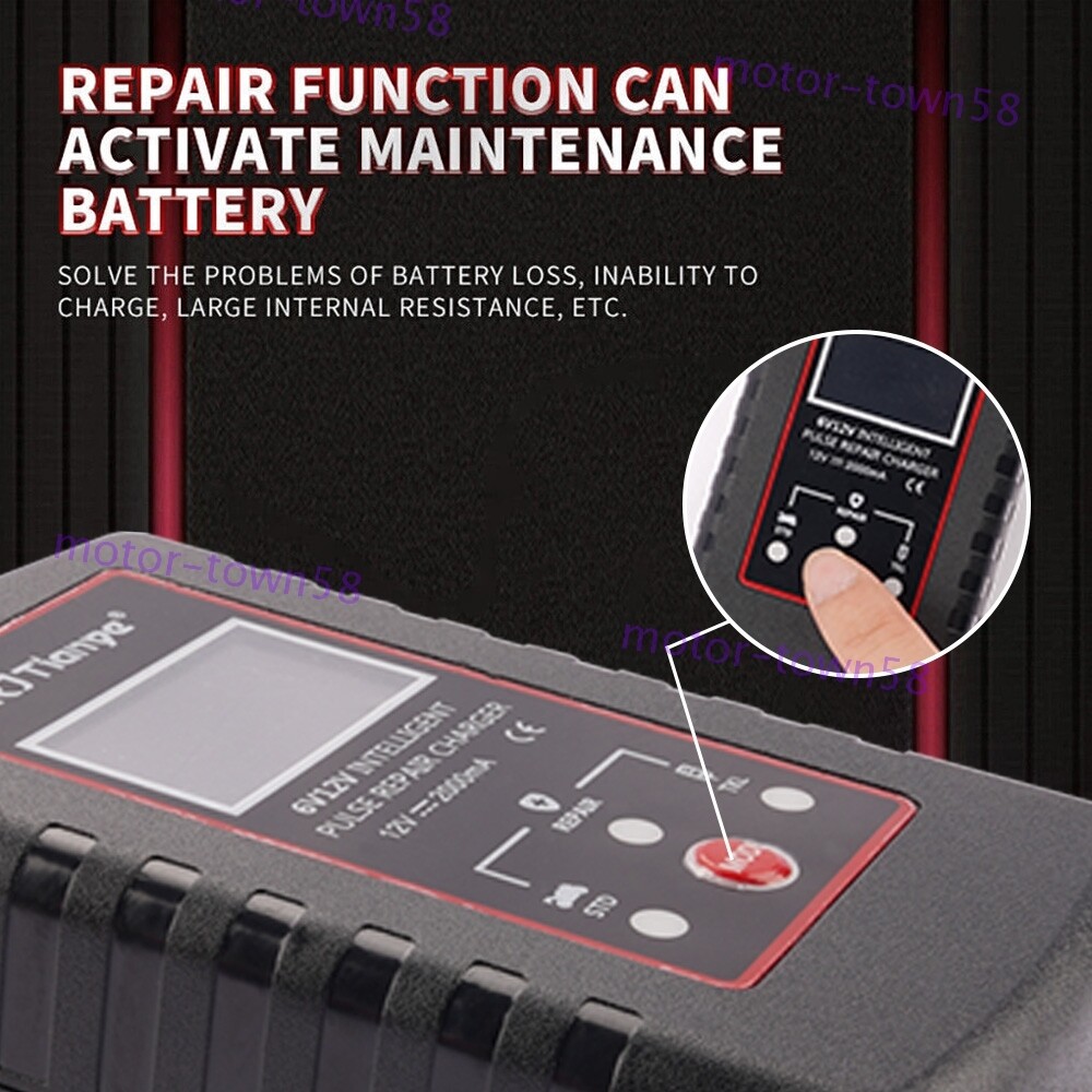NEW 6V 12V Battery Charger Maintainer Trickle for Harley Davidson