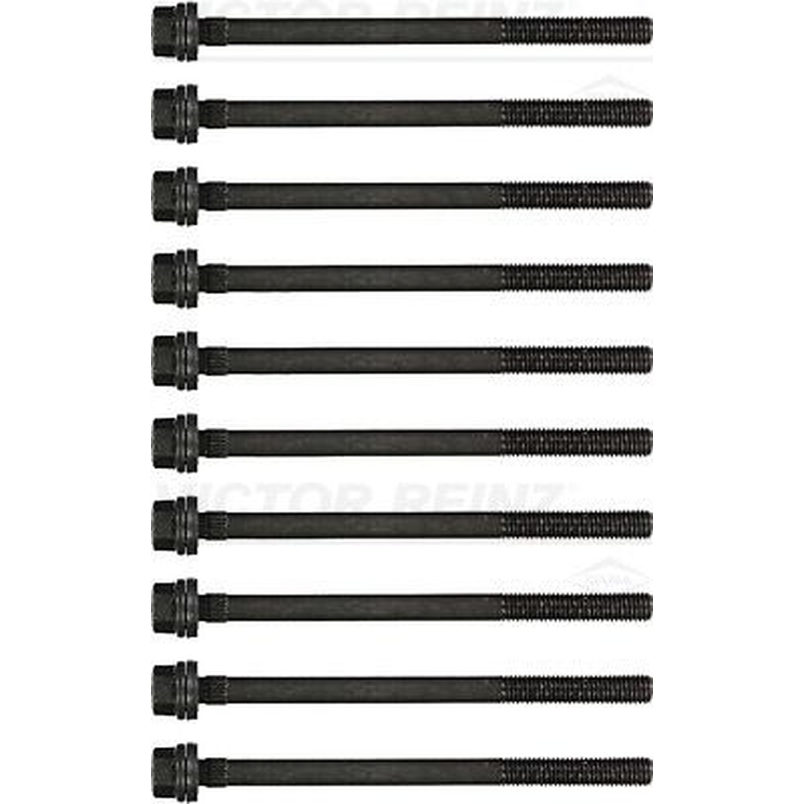 Victor Reinz Cylinder Head Bolt Set Fits BMW 14-32241-01 - OE Matching