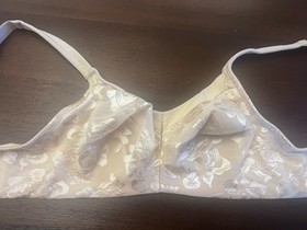 Wacoal 85276 Awareness Full Figure Seamless Wire Free Bra Nude New Size 38D