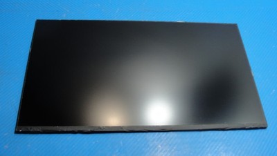 HP EliteBook 15.6  850 G8 Genuine Matte FHD BOE LCD Screen NV156FHM-N4T V8.0