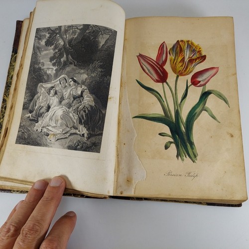 The Ladies' Wreath An Illustrated Annual Helen Irving Editor 1852 J.M. Fletcher - Picture 12 of 17