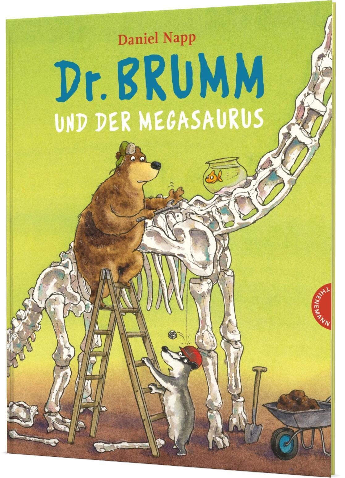 Dr. Brumm Und Der Megasaurus Daniel Napp