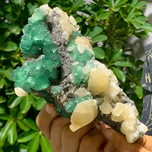 2.22LB Rare transparent GREEN cubic fluorite mineral crystal sample/China - Picture 8 of 14