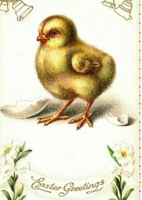 c.1907  Cute Fuzzy Chick  Easter Lillies Vintage Easter  Postcard