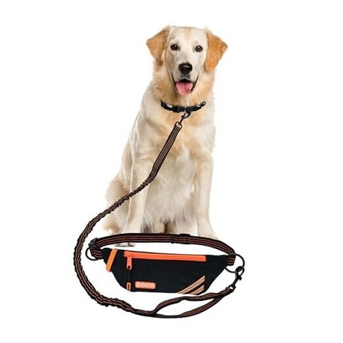 Lite Dog Jogging Belt with Zipper Pouch, Bungee Leash for Walking