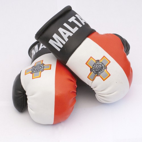 High Quality Country Flag MINI BOXING GLOVES - Rear View Mirror Gloves - New - Picture 88 of 134