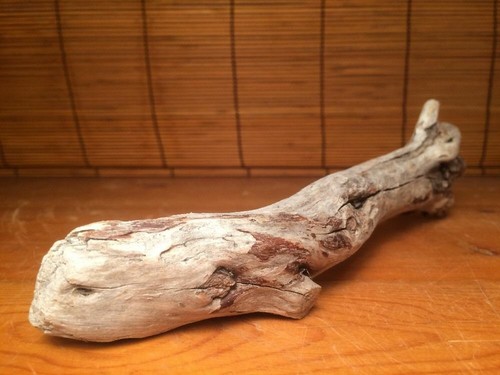 natural scavenged Driftwood Art Craft landscaping statue aquarium drift wood 9" - Picture 4 of 9