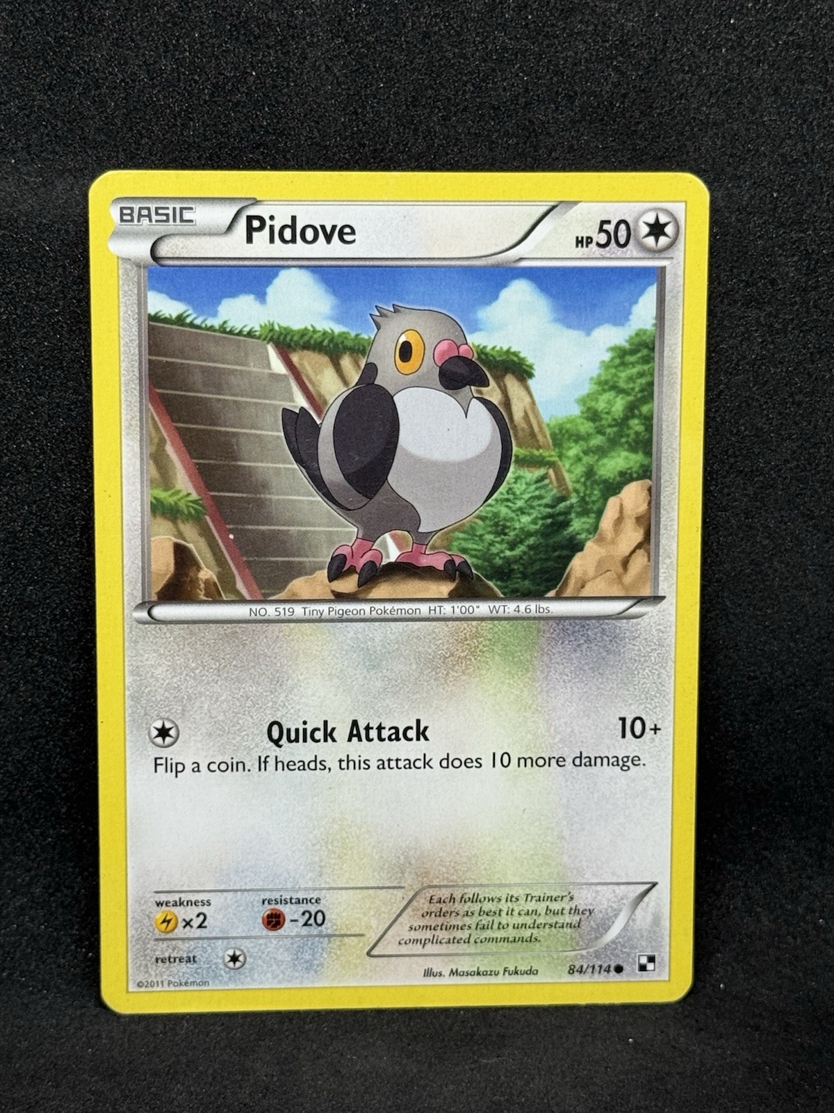 Pokemon Black & White  84/114 Pidove Common Card HP
