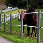 Bild 2 von 3
