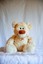 teddyhugzz