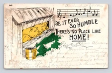 Antique Postcard No Place Like Home Pig Pen Pigs Dundas/Austin MN 1906 Cancel