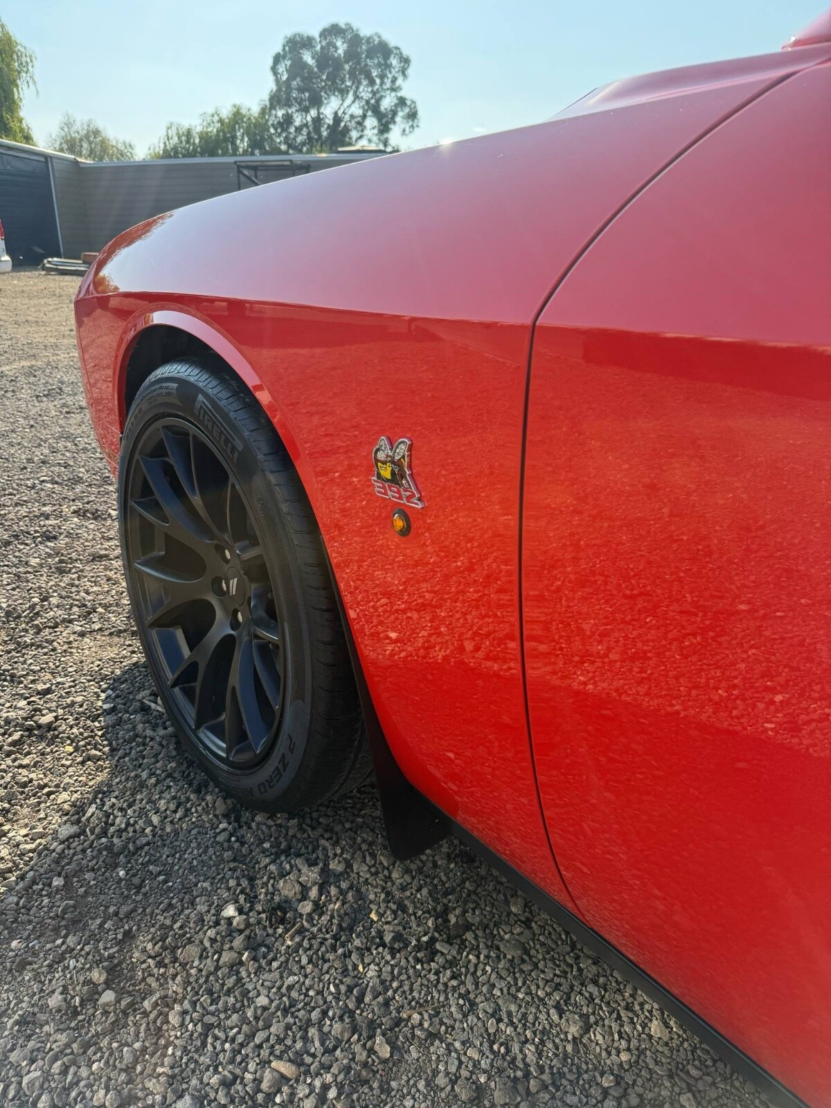 Picture 7 of 10