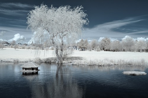 Nikon D90 Infrared converted 720nm Digital IR infrared Camera.Standard infrared - Afbeelding 1 van 14