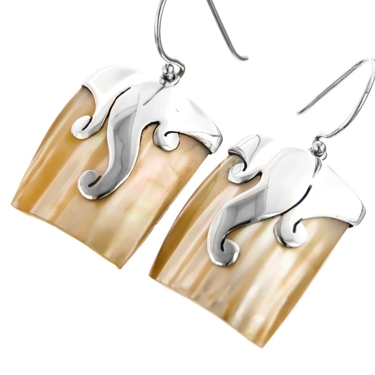 Turbo shell earrings online