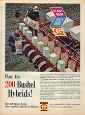 1967 Print Ad of Funk's G Hybrid ZEA IIII Corn Seed